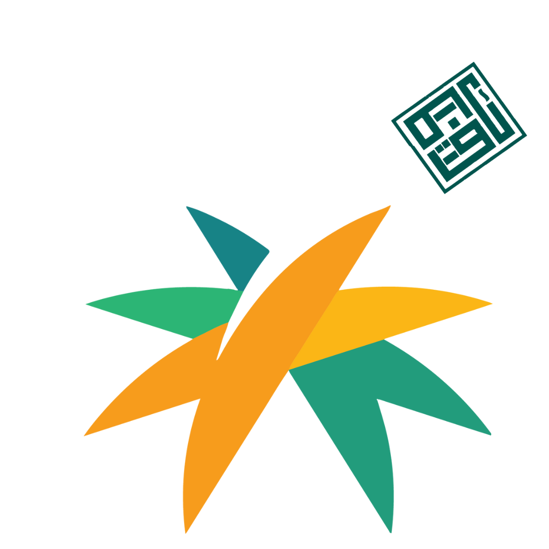 الضمان الاجتماعي المطور